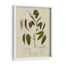 Ropa De Cama Y Hojas Iv - Vision Studio | Cuadro decorativo de Canvas Lab