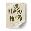 Ropa De Cama Y Hojas Iv - Vision Studio | Cuadro decorativo de Canvas Lab