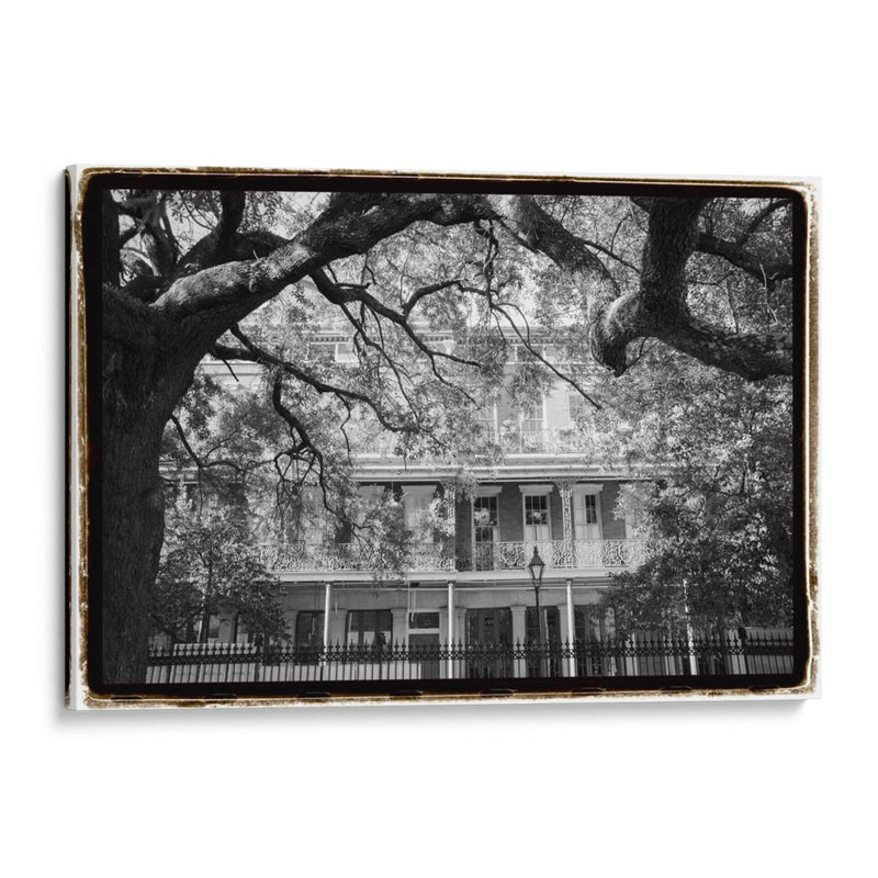 Jackson Square, Nueva Orleans - Laura DeNardo | Cuadro decorativo de Canvas Lab