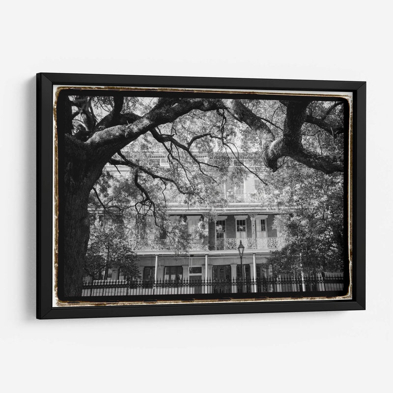 Jackson Square, Nueva Orleans - Laura DeNardo | Cuadro decorativo de Canvas Lab