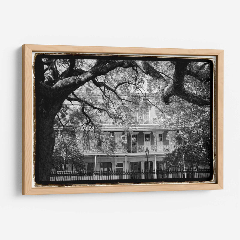 Jackson Square, Nueva Orleans - Laura DeNardo | Cuadro decorativo de Canvas Lab