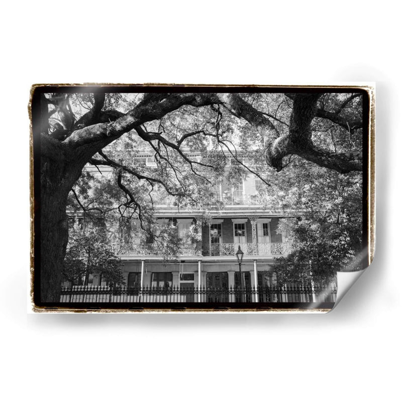 Jackson Square, Nueva Orleans - Laura DeNardo | Cuadro decorativo de Canvas Lab