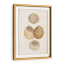 Estudio De Cáscara Anticuario Ii - Vision Studio | Cuadro decorativo de Canvas Lab