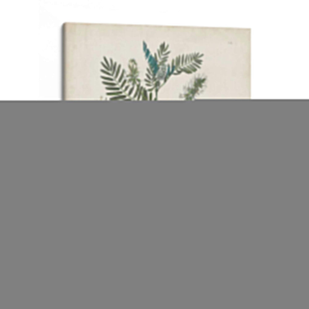 Flora Floreciente I - John Torrey | Cuadro decorativo de Canvas Lab