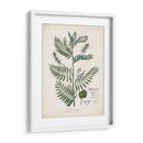 Flora Floreciente I - John Torrey | Cuadro decorativo de Canvas Lab