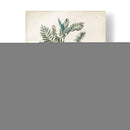 Flora Floreciente I - John Torrey | Cuadro decorativo de Canvas Lab