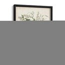 Flora Floreciente Ii - John Torrey | Cuadro decorativo de Canvas Lab
