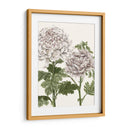 Crisantemos De Primavera Temprana Iii - Naomi McCavitt | Cuadro decorativo de Canvas Lab