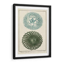 Ocean Oddity I - Vision Studio | Cuadro decorativo de Canvas Lab