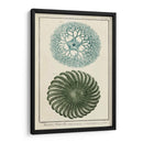 Ocean Oddity I - Vision Studio | Cuadro decorativo de Canvas Lab