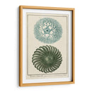 Ocean Oddity I - Vision Studio | Cuadro decorativo de Canvas Lab