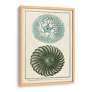 Ocean Oddity I - Vision Studio | Cuadro decorativo de Canvas Lab