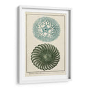 Ocean Oddity I - Vision Studio | Cuadro decorativo de Canvas Lab