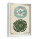 Ocean Oddity I - Vision Studio | Cuadro decorativo de Canvas Lab