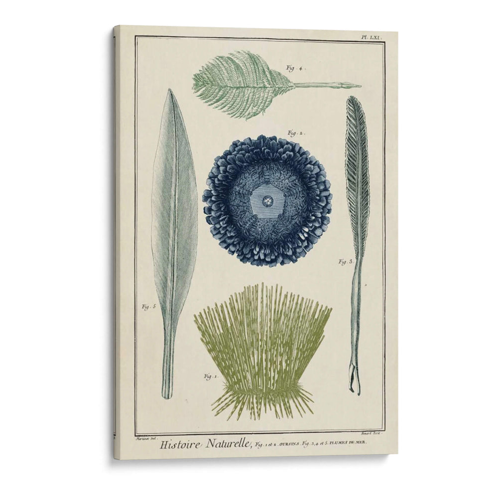 Ocean Oddity Ii - Vision Studio | Cuadro decorativo de Canvas Lab
