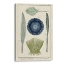 Ocean Oddity Ii - Vision Studio | Cuadro decorativo de Canvas Lab