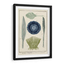 Ocean Oddity Ii - Vision Studio | Cuadro decorativo de Canvas Lab