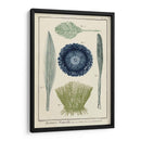 Ocean Oddity Ii - Vision Studio | Cuadro decorativo de Canvas Lab