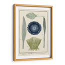 Ocean Oddity Ii - Vision Studio | Cuadro decorativo de Canvas Lab