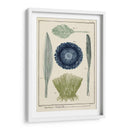 Ocean Oddity Ii - Vision Studio | Cuadro decorativo de Canvas Lab