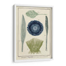 Ocean Oddity Ii - Vision Studio | Cuadro decorativo de Canvas Lab