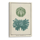 Ocean Oddity Iii - Vision Studio | Cuadro decorativo de Canvas Lab