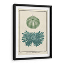 Ocean Oddity Iii - Vision Studio | Cuadro decorativo de Canvas Lab
