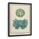 Ocean Oddity Iii - Vision Studio | Cuadro decorativo de Canvas Lab