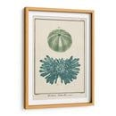 Ocean Oddity Iii - Vision Studio | Cuadro decorativo de Canvas Lab