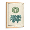 Ocean Oddity Iii - Vision Studio | Cuadro decorativo de Canvas Lab