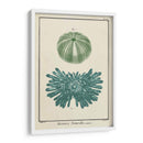 Ocean Oddity Iii - Vision Studio | Cuadro decorativo de Canvas Lab