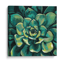 Floración Suculenta I - Megan Meagher | Cuadro decorativo de Canvas Lab