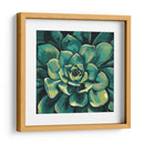 Floración Suculenta I - Megan Meagher | Cuadro decorativo de Canvas Lab