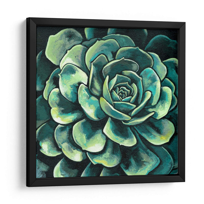 Suculenta Bloom Ii - Megan Meagher | Cuadro decorativo de Canvas Lab