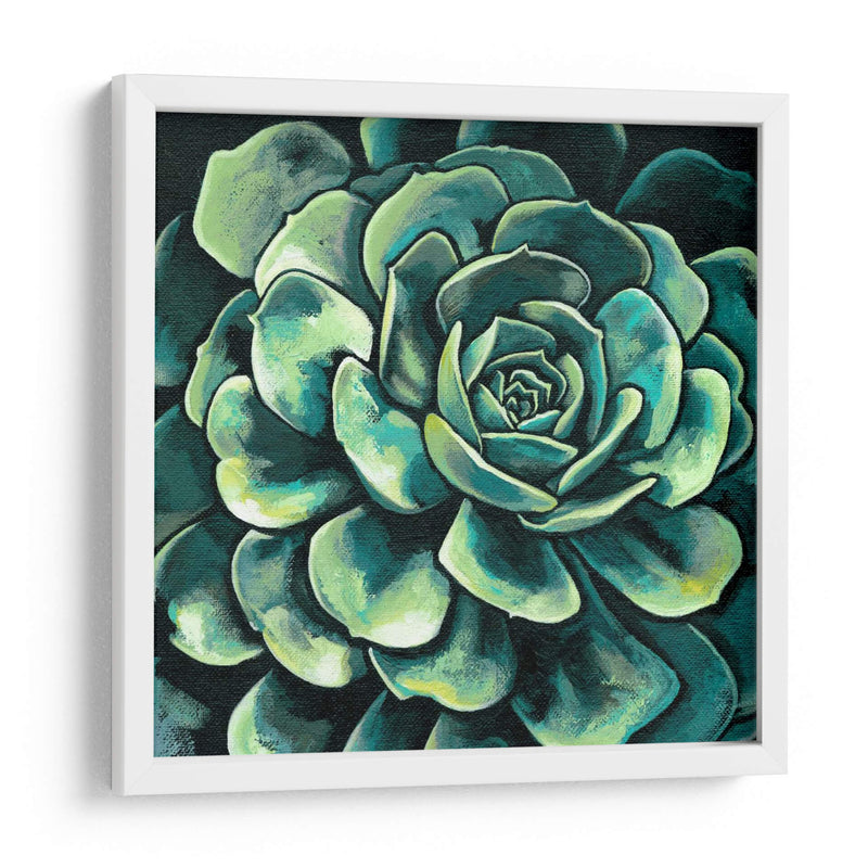 Suculenta Bloom Ii - Megan Meagher | Cuadro decorativo de Canvas Lab