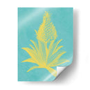 Piña Frais I - Vision Studio | Cuadro decorativo de Canvas Lab