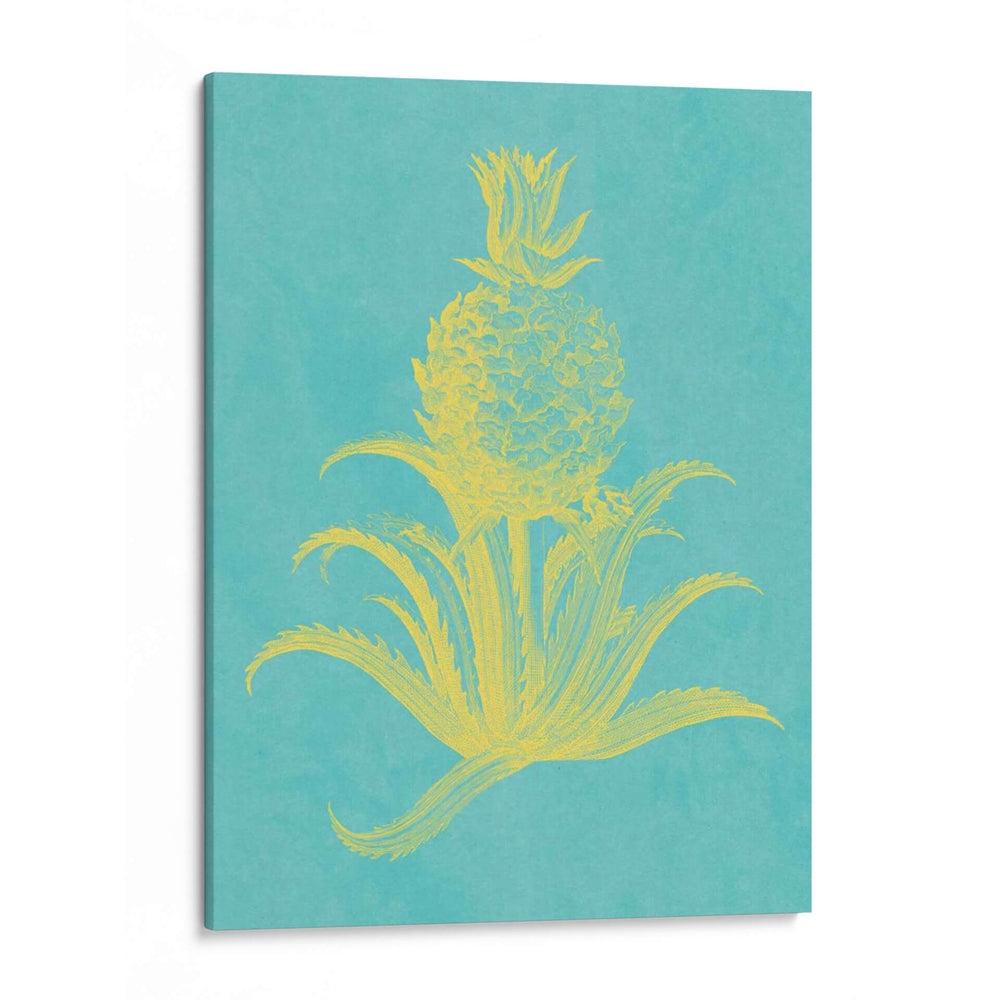 Piña Freaci Ii - Vision Studio | Cuadro decorativo de Canvas Lab
