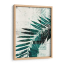 Palm Aqua Ii - John Butler | Cuadro decorativo de Canvas Lab