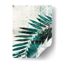 Palm Aqua Ii - John Butler | Cuadro decorativo de Canvas Lab