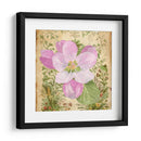 Vintage Apple Blossom Ii - Leslie Mark | Cuadro decorativo de Canvas Lab