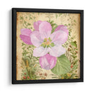 Vintage Apple Blossom Ii - Leslie Mark | Cuadro decorativo de Canvas Lab