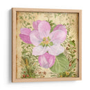 Vintage Apple Blossom Ii - Leslie Mark | Cuadro decorativo de Canvas Lab