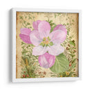 Vintage Apple Blossom Ii - Leslie Mark | Cuadro decorativo de Canvas Lab