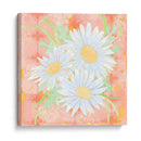 Pielo De Daisy Coral Ii - Leslie Mark | Cuadro decorativo de Canvas Lab