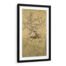 Apple Blossoms - Charles Caryl Coleman | Cuadro decorativo de Canvas Lab