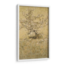 Apple Blossoms - Charles Caryl Coleman | Cuadro decorativo de Canvas Lab