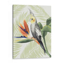 Paradisíaco Aviar I - Grace Popp | Cuadro decorativo de Canvas Lab