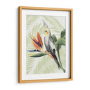 Paradisíaco Aviar I - Grace Popp | Cuadro decorativo de Canvas Lab