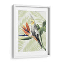 Paradisíaco Aviar I - Grace Popp | Cuadro decorativo de Canvas Lab