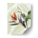 Paradisíaco Aviar I - Grace Popp | Cuadro decorativo de Canvas Lab